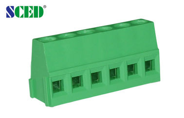 5.0mm 300V 10A Wohnung des Käfig-vertikale Draht-Einlass-anhebend PA66